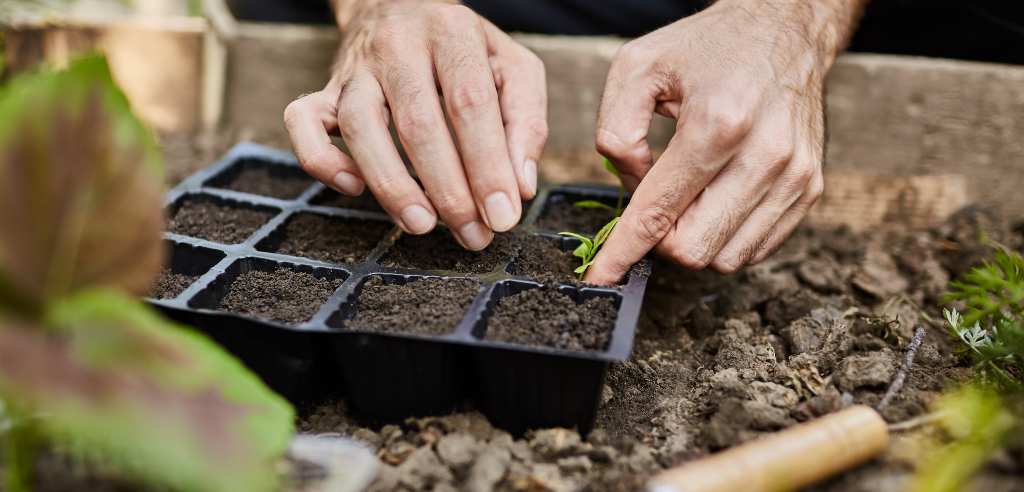 Toldos para huertas en el jardín